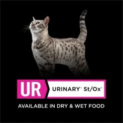 Purina Pro Plan Veterinary Diets UR Urinary St/Ox Savory Selects Salmon In Sauce Wet Cat Food -PurePet Bites Shop 89777 PT5. AC SS1800 V1700156713