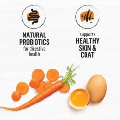 Purina Beyond White Meat Chicken & Egg Recipe Grain-Free Natural Dry Cat Food -PurePet Bites Shop 89926 PT4. AC SS1800 V1703623567