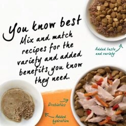 Purina Beyond White Meat Chicken & Egg Recipe Grain-Free Natural Dry Cat Food -PurePet Bites Shop 89926 PT6. AC SS1800 V1703623566