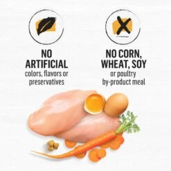 Purina Beyond White Meat Chicken & Egg Recipe Grain-Free Natural Dry Cat Food -PurePet Bites Shop 89926 PT8. AC SS1800 V1703623568