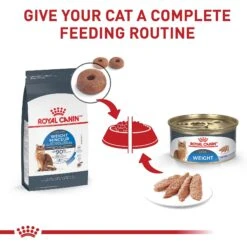 Royal Canin Feline Care Nutrition Weight Care Adult Dry Cat Food -PurePet Bites Shop 90075 PT6. AC SS1800 V1697757759