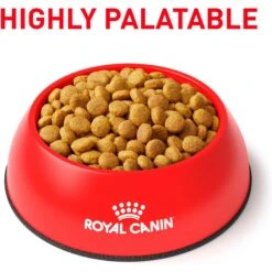 Royal Canin Veterinary Diet Adult Renal Support A Dry Cat Food -PurePet Bites Shop 90662 PT2. AC SS1800 V1701882387