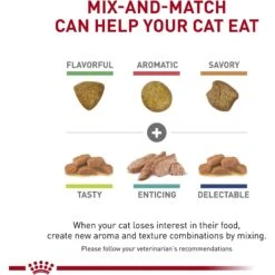 Royal Canin Veterinary Diet Adult Renal Support A Dry Cat Food -PurePet Bites Shop 90662 PT6. AC SS1800 V1701882438