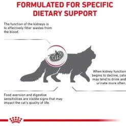 Royal Canin Veterinary Diet Adult Renal Support F Dry Cat Food -PurePet Bites Shop 90665 PT3. AC SS1800 V1701881717