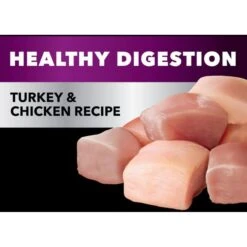 Iams Advanced Health Healthy Digestion Turkey & Chicken Recipe Adult Dry Cat Food -PurePet Bites Shop 908326 PT3. AC SS1800 V1689362991