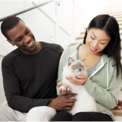 Iams Advanced Health Immune Health Salmon & Chicken Recipe Adult Dry Cat Food -PurePet Bites Shop 908358 PT8. AC SS1800 V1701881411