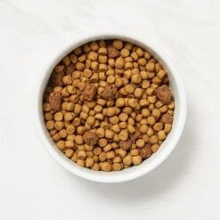 Martha Stewart Pet Food Chicken & Brown Rice Recipe Dry Cat Food -PurePet Bites Shop 910878 PT2. AC SS1800 V1690992687