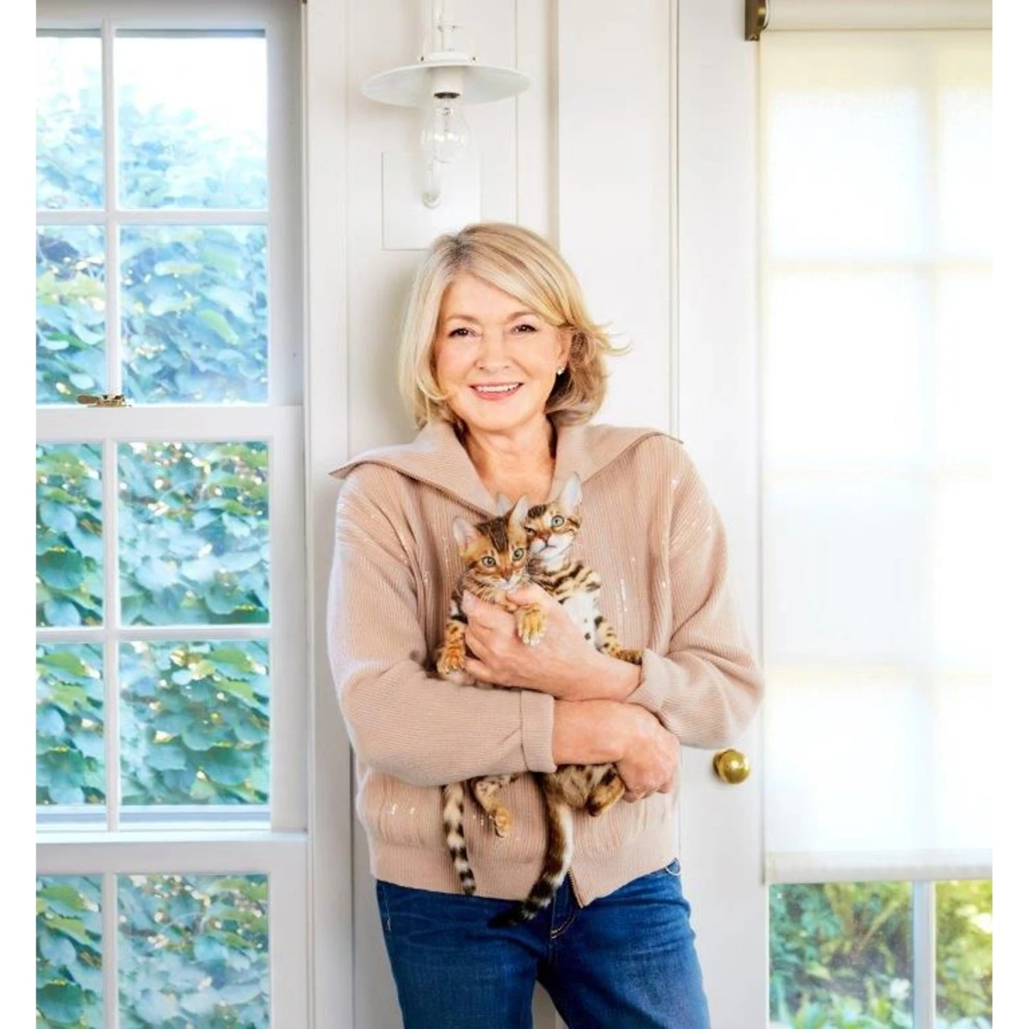 Martha Stewart Pet Food Salmon & Oatmeal Recipe Dry Cat Food 6 Martha Stewart Pet Food Salmon & Oatmeal Recipe Dry Cat Food - Image 4