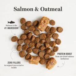 Martha Stewart Pet Food Salmon & Oatmeal Recipe Dry Cat Food 15 Martha Stewart Pet Food Salmon & Oatmeal Recipe Dry Cat Food -PurePet Bites Shop 910902 PT4. AC SS1800 V1703276863