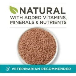 Purina ONE Beef Recipe Pate Grain-Free Natural High Protein Canned Cat Food 12 Purina ONE Beef Recipe Pate Grain-Free Natural High Protein Canned Cat Food -PurePet Bites Shop 91511 PT1. AC SS1800 V1657661111