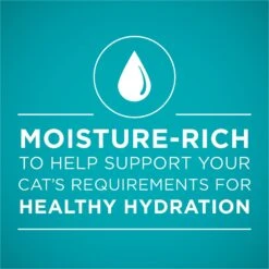 Purina ONE Beef Recipe Pate Grain-Free Natural High Protein Canned Cat Food 13 Purina ONE Beef Recipe Pate Grain-Free Natural High Protein Canned Cat Food -PurePet Bites Shop 91511 PT2. AC SS1800 V1653499282