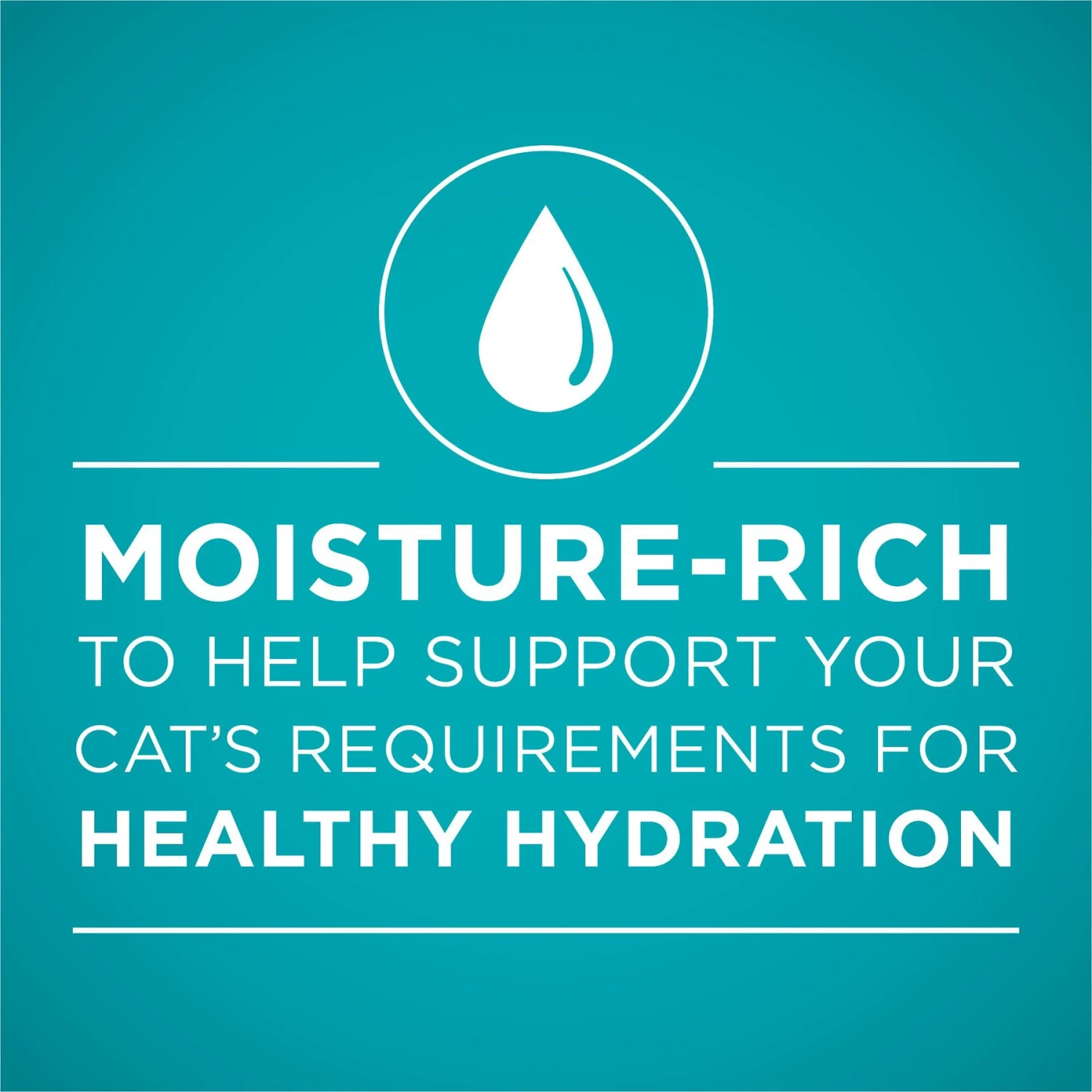 Purina ONE Beef Recipe Pate Grain-Free Natural High Protein Canned Cat Food 5 Purina ONE Beef Recipe Pate Grain-Free Natural High Protein Canned Cat Food - Image 3