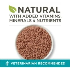 Purina ONE Ocean Whitefish Recipe Pate Grain-Free Natural High Protein Canned Cat Food, 3-oz, Case Of 24 12 Purina ONE Ocean Whitefish Recipe Pate Grain-Free Natural High Protein Canned Cat Food, 3-oz, Case Of 24 -PurePet Bites Shop 91557 PT1. AC SS1800 V1657661111