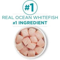 Purina ONE Ocean Whitefish Recipe Pate Grain-Free Natural High Protein Canned Cat Food, 3-oz, Case Of 24 14 Purina ONE Ocean Whitefish Recipe Pate Grain-Free Natural High Protein Canned Cat Food, 3-oz, Case Of 24 -PurePet Bites Shop 91557 PT3. AC SS1800 V1657661111