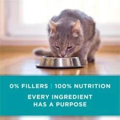 Purina ONE True Instinct Salmon & Trout Recipe In Sauce Natural High Protein Canned Cat Food -PurePet Bites Shop 91561 PT6. AC SS1800 V1653498985