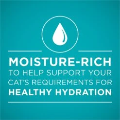 Purina ONE True Instinct Chicken Recipe In Gravy Natural High Protein Canned Cat Food, 3-oz, Case Of 24 -PurePet Bites Shop 91563 PT2. AC SS1800 V1653501082