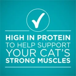 Purina ONE True Instinct Chicken Recipe In Gravy Natural High Protein Canned Cat Food, 3-oz, Case Of 24 -PurePet Bites Shop 91563 PT5. AC SS1800 V1657661112