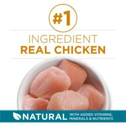 Purina ONE Tender Selects Blend With Real Chicken Dry Cat Food -PurePet Bites Shop 91682 PT2. AC SS1800 V1677529298