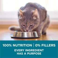 Purina ONE Tender Selects Blend With Real Chicken Dry Cat Food -PurePet Bites Shop 91682 PT5. AC SS1800 V1677529296