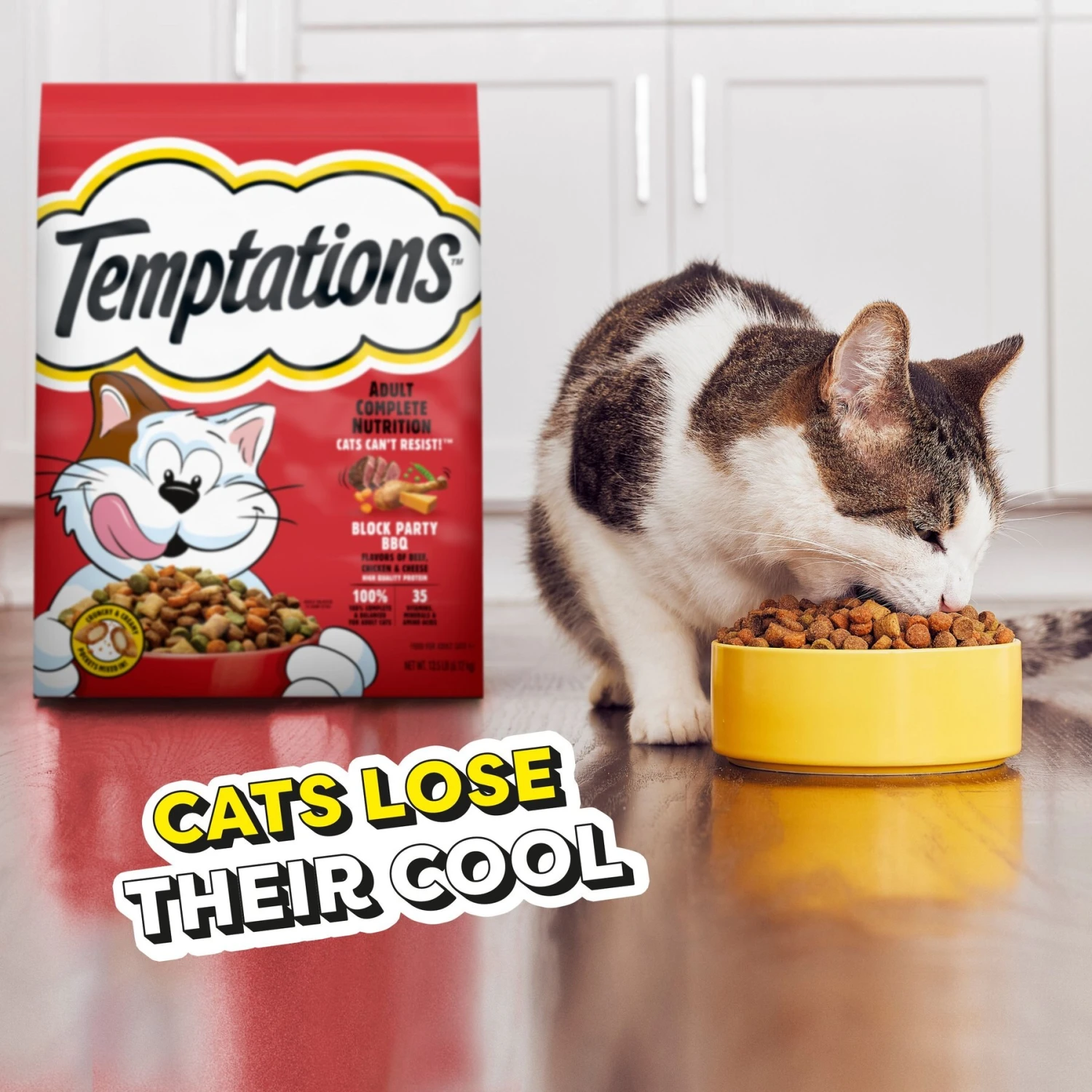 Temptations Block Party BBQ Flavor Adult Dry Cat Food 10 Temptations Block Party BBQ Flavor Adult Dry Cat Food - Image 8