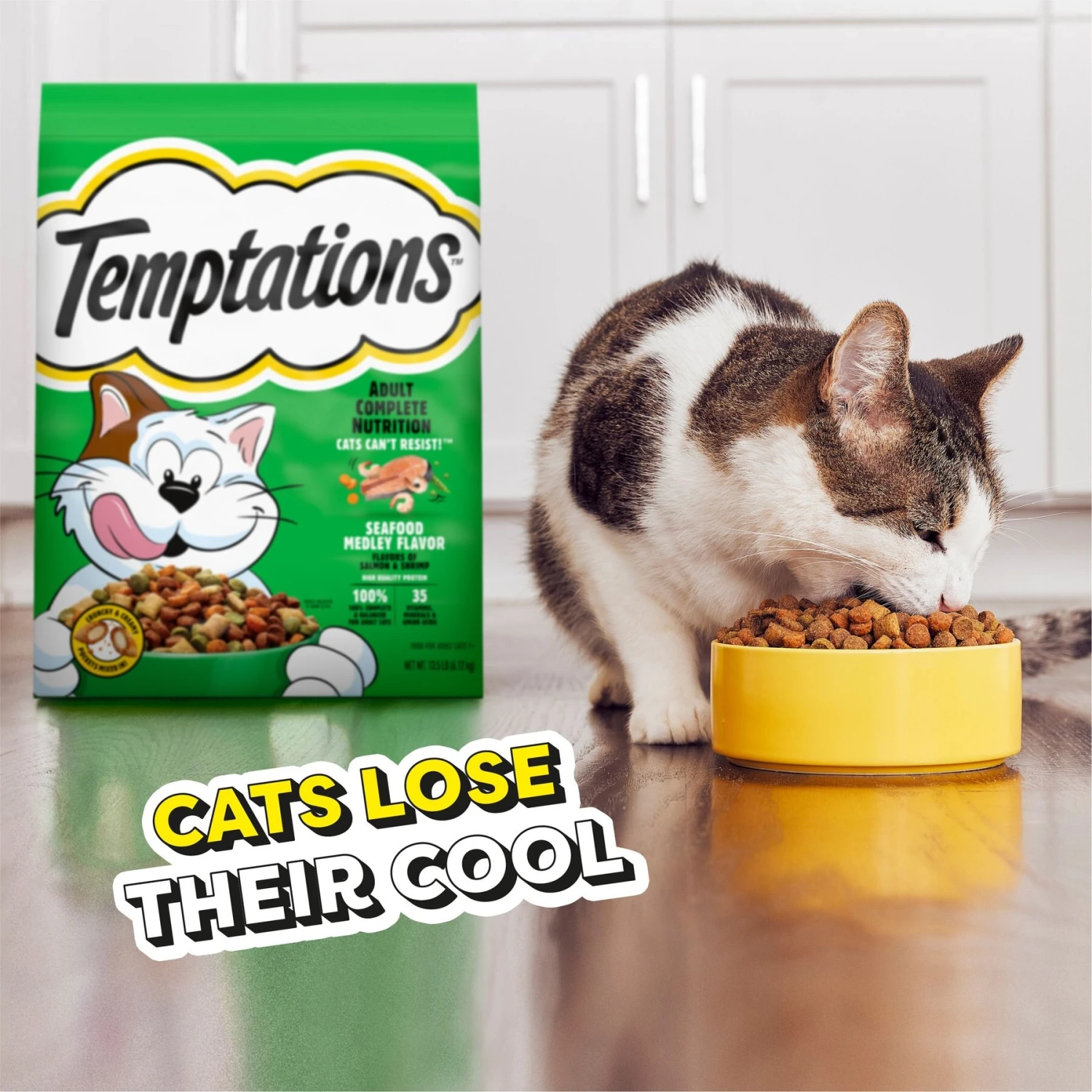 Temptations Seafood Medley Flavor Adult Dry Cat Food 10 Temptations Seafood Medley Flavor Adult Dry Cat Food - Image 8