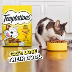 Temptations Tasty Chicken Flavor Adult Dry Cat Food 18 Temptations Tasty Chicken Flavor Adult Dry Cat Food -PurePet Bites Shop 916974 PT7. AC SS1800 V1689970278