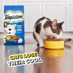 Temptations Tempting Tuna & Chicken Flavor Adult Dry Cat Food 18 Temptations Tempting Tuna & Chicken Flavor Adult Dry Cat Food -PurePet Bites Shop 917006 PT7. AC SS1800 V1689970945