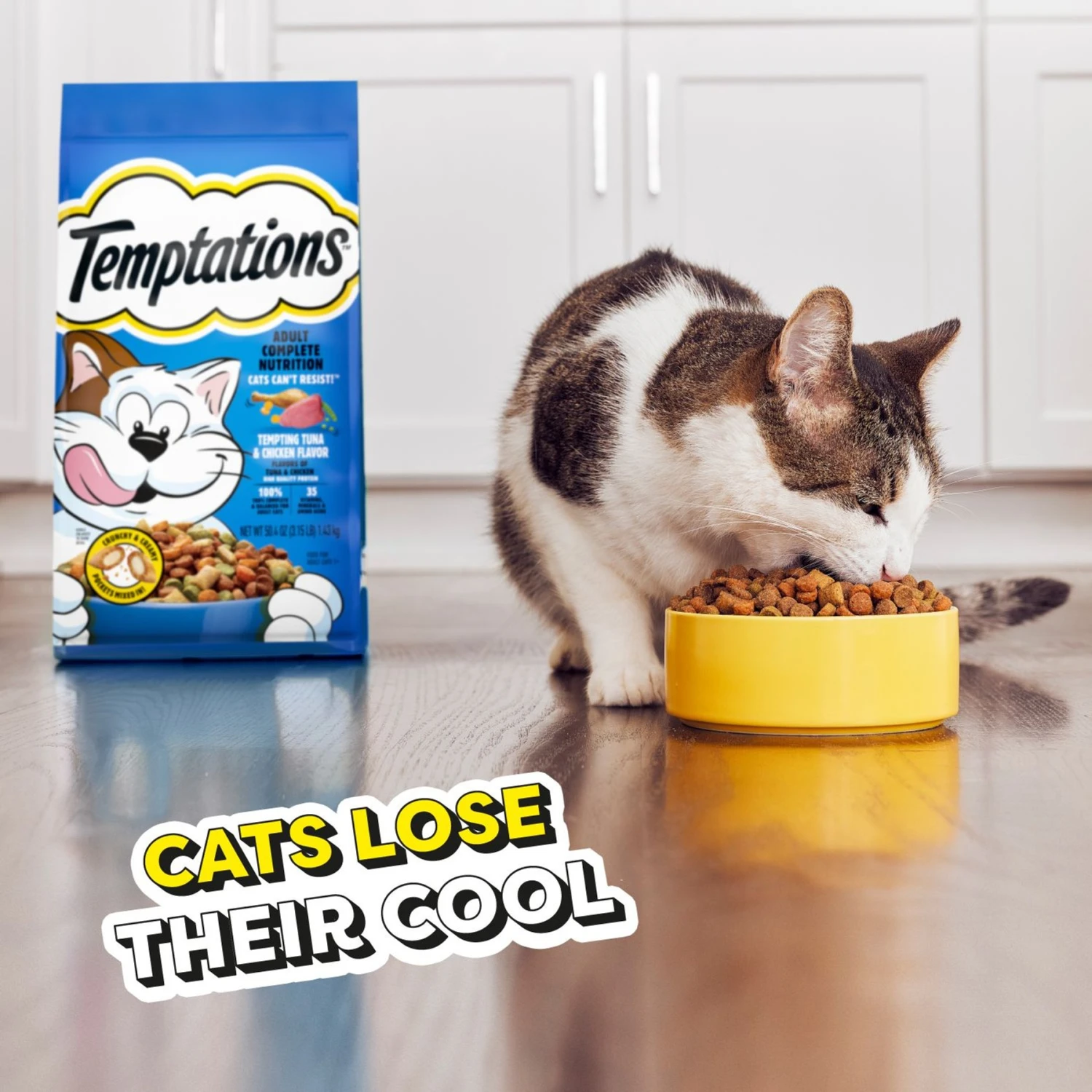 Temptations Tempting Tuna & Chicken Flavor Adult Dry Cat Food 10 Temptations Tempting Tuna & Chicken Flavor Adult Dry Cat Food - Image 8