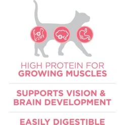 Purina ONE +Plus Healthy Kitten Formula Natural Dry Cat Food -PurePet Bites Shop 91700 PT3. AC SS1800 V1679673105