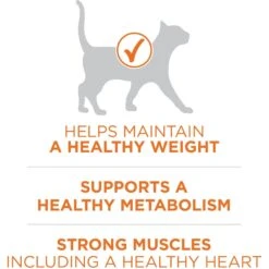 Purina ONE +Plus Ideal Weight Natural High Protein Adult Dry Cat Food 14 Purina ONE +Plus Ideal Weight Natural High Protein Adult Dry Cat Food -PurePet Bites Shop 91703 PT3. AC SS1800 V1677528909