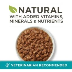 Purina ONE True Instinct Tuna Recipe In Sauce Natural High Protein Canned Cat Food, 3-oz, Case Of 24 12 Purina ONE True Instinct Tuna Recipe In Sauce Natural High Protein Canned Cat Food, 3-oz, Case Of 24 -PurePet Bites Shop 91713 PT1. AC SS1800 V1653500188