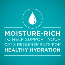 Purina ONE True Instinct Tuna Recipe In Sauce Natural High Protein Canned Cat Food, 3-oz, Case Of 24 13 Purina ONE True Instinct Tuna Recipe In Sauce Natural High Protein Canned Cat Food, 3-oz, Case Of 24 -PurePet Bites Shop 91713 PT2. AC SS1800 V1657661113