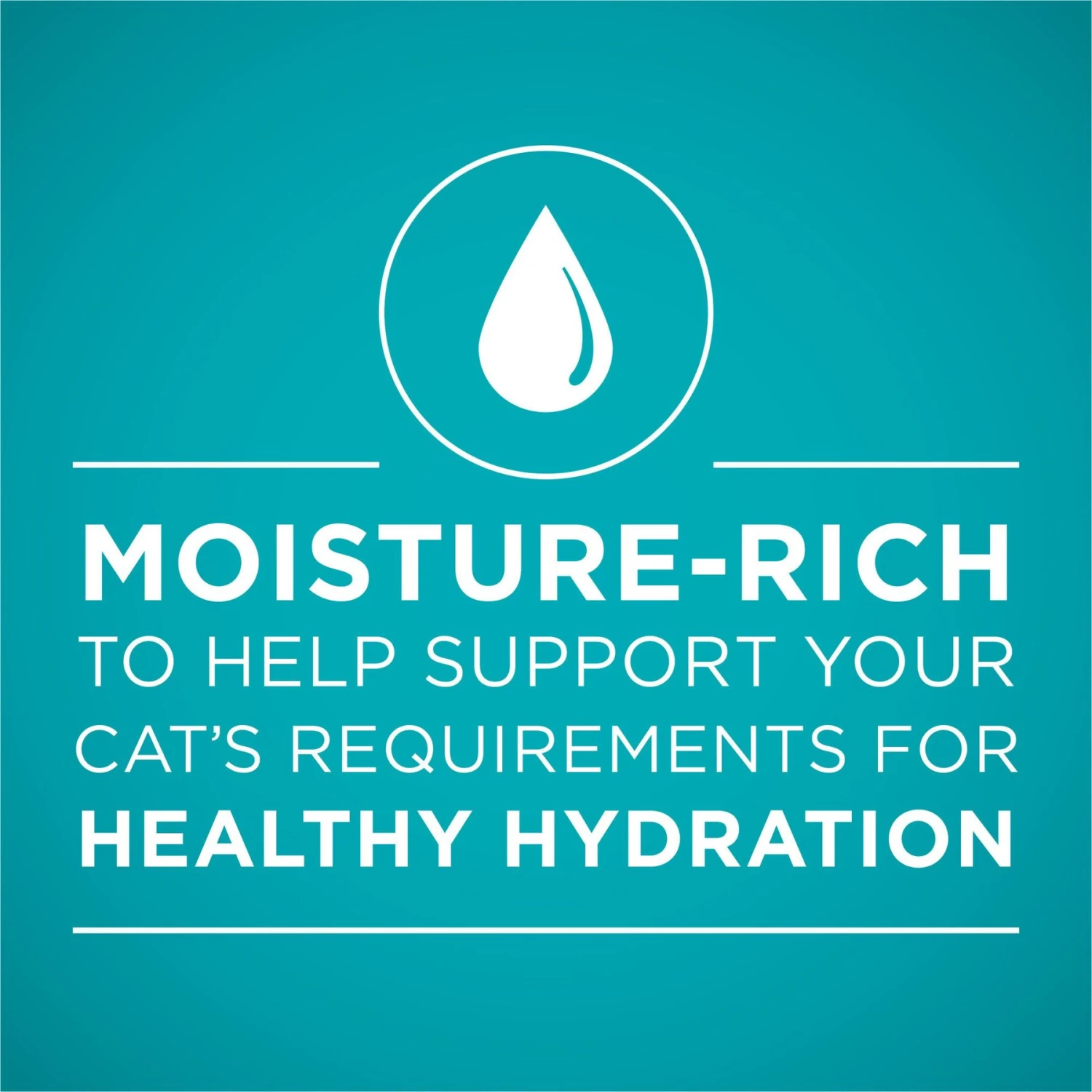 Purina ONE True Instinct Tuna Recipe In Sauce Natural High Protein Canned Cat Food, 3-oz, Case Of 24 5 Purina ONE True Instinct Tuna Recipe In Sauce Natural High Protein Canned Cat Food, 3-oz, Case Of 24 - Image 3