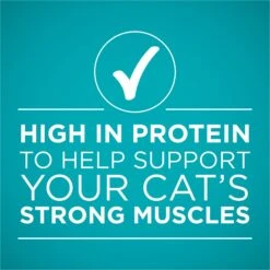 Purina ONE True Instinct Tuna Recipe In Sauce Natural High Protein Canned Cat Food, 3-oz, Case Of 24 16 Purina ONE True Instinct Tuna Recipe In Sauce Natural High Protein Canned Cat Food, 3-oz, Case Of 24 -PurePet Bites Shop 91713 PT5. AC SS1800 V1653502886