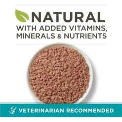 Purina ONE Turkey Recipe Pate Grain-Free Natural High Protein Canned Cat Food, 3-oz, Case Of 24 -PurePet Bites Shop 91727 PT1. AC SS1800 V1653503782