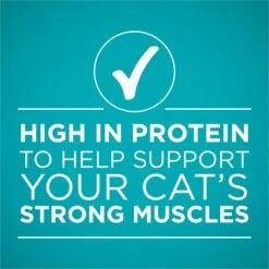 Purina ONE Natural Weight Control Ideal Weight White Meat Chicken Recipe In Sauce Wet Cat Food -PurePet Bites Shop 91760 PT5. AC SS1800 V1658206721