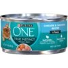 Purina ONE Natural High Protein True Instinct Chicken & Salmon Recipe In Sauce Canned Cat Food -PurePet Bites Shop 91774 MAIN. AC SS1800 V1653428794