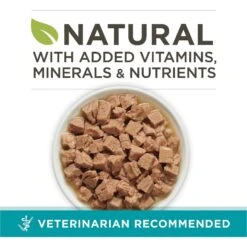 Purina ONE Natural High Protein True Instinct Chicken & Salmon Recipe In Sauce Canned Cat Food 12 Purina ONE Natural High Protein True Instinct Chicken & Salmon Recipe In Sauce Canned Cat Food -PurePet Bites Shop 91774 PT1. AC SS1800 V1653491484