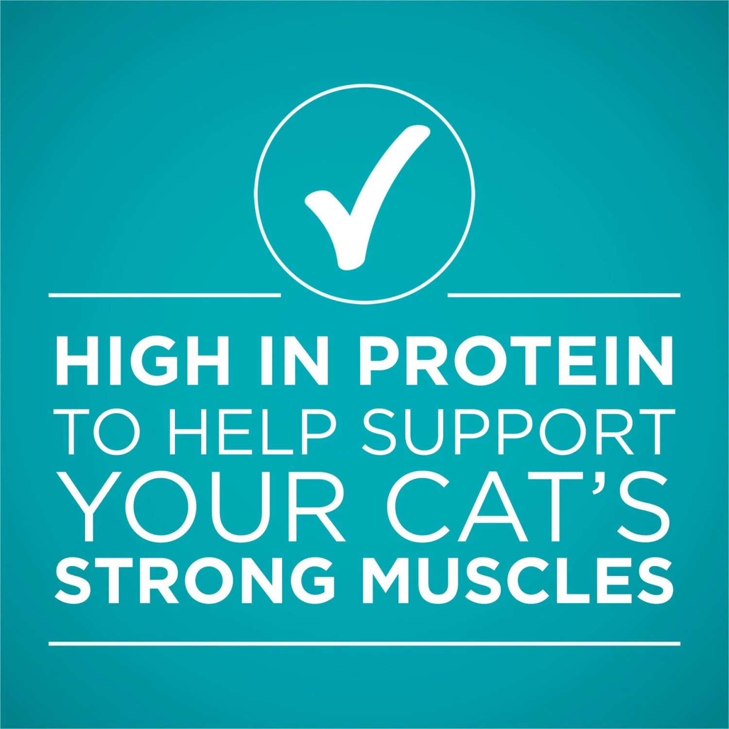 Purina ONE Natural High Protein True Instinct Chicken & Salmon Recipe In Sauce Canned Cat Food 8 Purina ONE Natural High Protein True Instinct Chicken & Salmon Recipe In Sauce Canned Cat Food - Image 6