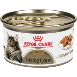 Royal Canin Feline Breed Nutrition Maine Coon Adult Thin Slices In Gravy Wet Cat Food, 3-oz Can, Case Of 24