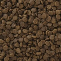 Pro Pac Ultimates Savanna Pride Chicken Grain-Free Indoor Dry Cat Food -PurePet Bites Shop 92667 PT2. AC SS1800 V1548869610