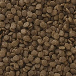 Pro Pac Ultimates Deep Sea Select Whitefish Grain-Free Indoor Dry Cat Food -PurePet Bites Shop 92670 PT2. AC SS1800 V1548869619