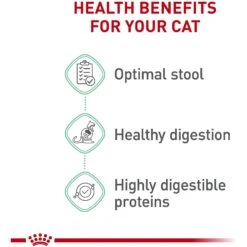 Royal Canin Feline Care Nutrition Digestive Care Dry Cat Food -PurePet Bites Shop 92969 PT4. AC SS1800 V1697733668