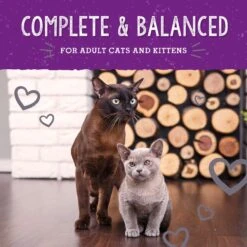 Stella & Chewy's Dinner Morsels Plate Lickin' Pork Recipe Cat Dried Food 18 Stella & Chewy's Dinner Morsels Plate Lickin' Pork Recipe Cat Dried Food -PurePet Bites Shop 931710 PT7. AC SS1800 V1693248441