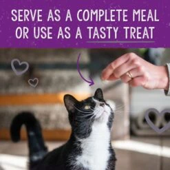 Stella & Chewy's Dinner Morsels Plate Lickin' Pork Recipe Cat Dried Food 19 Stella & Chewy's Dinner Morsels Plate Lickin' Pork Recipe Cat Dried Food -PurePet Bites Shop 931710 PT8. AC SS1800 V1693336656