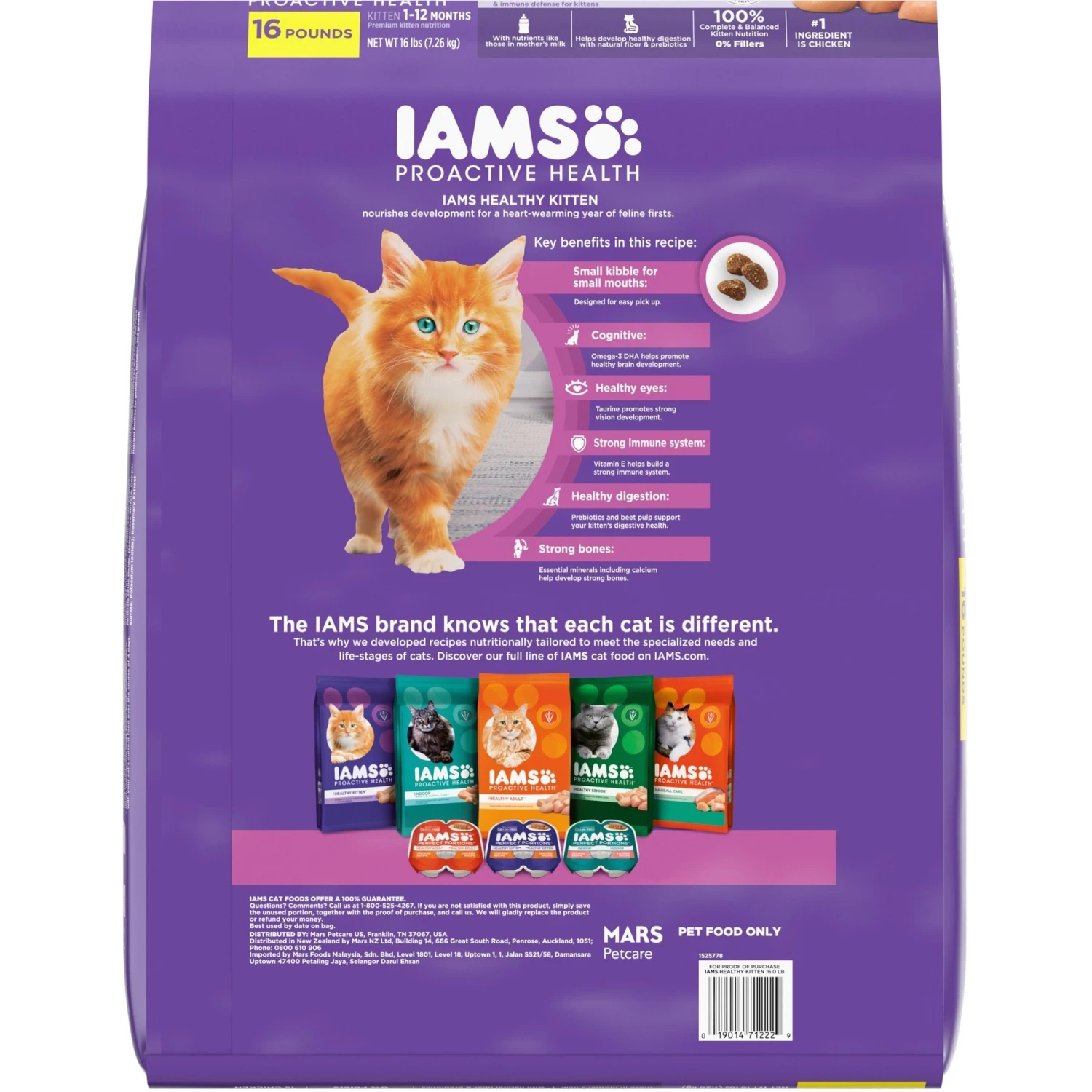 Iams ProActive Health Kitten Dry Cat Food 4 Iams ProActive Health Kitten Dry Cat Food - Image 2
