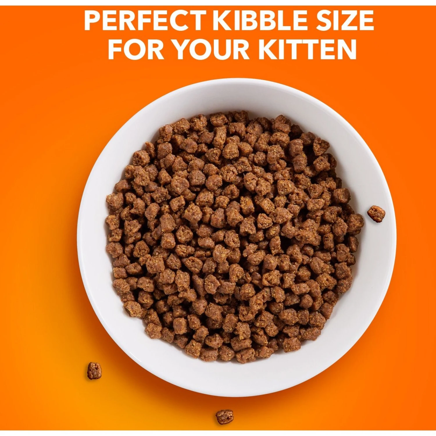 Iams ProActive Health Kitten Dry Cat Food 6 Iams ProActive Health Kitten Dry Cat Food - Image 4