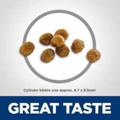 Hill's Science Diet Adult 7+ Chicken Recipe Dry Cat Food -PurePet Bites Shop 93924 PT2. AC SS1800 V1598151665