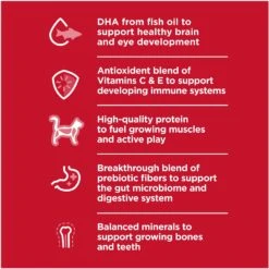 Hill's Science Diet Kitten Healthy Cuisine Tender Chicken & Rice Medley Canned Cat Food -PurePet Bites Shop 94018 PT3. AC SS1800 V1693497930