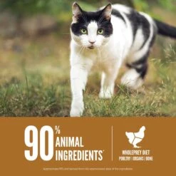 ORIJEN Original Grain-Free Dry Cat Food & ORIJEN Original Grain-Free Freeze-Dried Cat Treats -PurePet Bites Shop 947310 PT4. AC SS1800 V1693925143